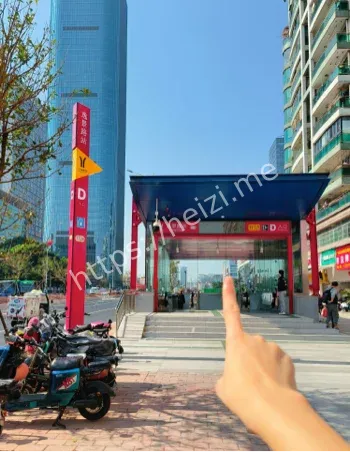 地铁逃生大肘子设置